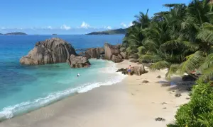 Rajska plaża z palmami i granitowymi skałami. Czy to Mauritius czy Seszele? Woda kusi turkusowym kolorem.