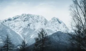 Śnieżne szczyty gór zimą, idealne na pierwsze górskie wędrówki. Drzewa w pierwszym planie dodają głębi.