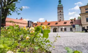 Kwiaty i wieża ratuszowa na rynku w Żywcu. Piękny dzień, idealny na zwiedzanie żywieckich atrakcji.