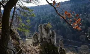 Skałki wapienne i las w tle, idealne na jednodniowe wycieczki z Krakowa.