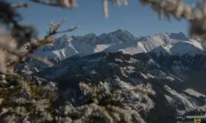 Zimowy widok na Tatry z ośnieżonymi szczytami i lasami. W oddali widać majestatyczne góry, a na pierwszym planie gałęzie drzew pokryte szronem. Widok z Rusinowej Polany.