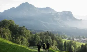 Wspaniały wypad w góry. Trzy osoby i pies idą ścieżką wśród zielonych wzgórz, podziwiając majestatyczne szczyty w oddali.