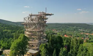 Drewniana wieża widokowa z krętymi ścieżkami, oferująca wspaniały sky walk nad lasem i miasteczkiem.