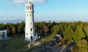 Wieża widokowa na szczycie gór Sowich, otoczona lasem, zaprasza turystów do podziwiania panoramy.