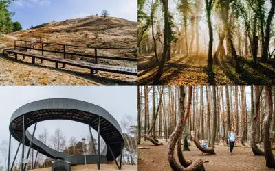 Zachodniopomorskie atrakcje: ścieżka na wzgórzu, słoneczny las, nowoczesna kładka i Krzywy Las.