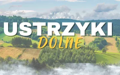 Ustrzyki Dolne, miasto w Podkarpaciu, otoczone zielonymi wzgórzami i lasami, z mgłą unoszącą się u podnóża.