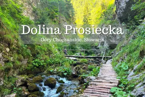 Malownicza Dolina Prosiecka w Górach Choczańskich to idealne miejsce, by odkryć, co zwiedzić na Słowacji. Drewniany chodnik wzdłuż potoku.