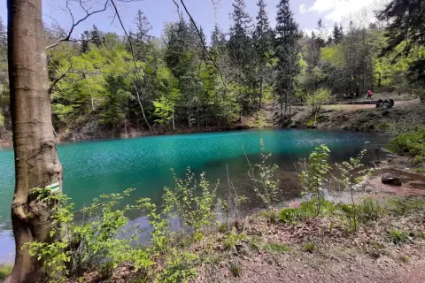 Turkusowe jezioro w lesie, idealne miejsce na spacer i odkrywanie atrakcji w okolicach Wrocławia.