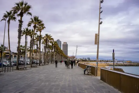 Spacerem po Barcelonie w styczniu. Czy warto? Palmy, plaża i spokojna promenada zachęcają do spacerów.
