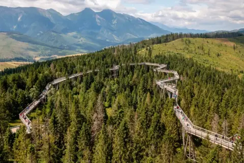 Ścieżka w koronach drzew w Bachledce – jedna z najpiękniejszych słowackich atrakcji blisko granicy, z widokiem na Tatry.