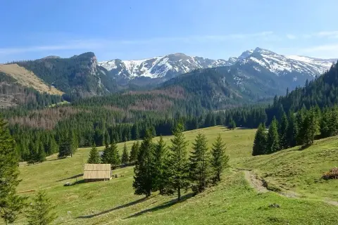 Piękne Tatry Zachodnie, idealne na wycieczkę z Zakopanego. Widać ośnieżone szczyty, lasy i polanę z bacówką.