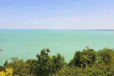 Widok na turkusowe wody Balatonu z licznymi żaglówkami. Na pierwszym planie bujna zieleń drzew, a w oddali widać zarys miejscowości nad Balatonem.