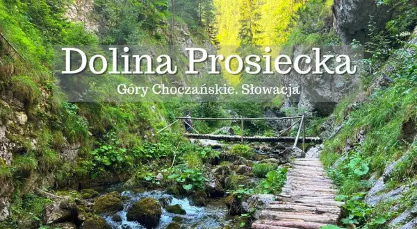 Malownicza Dolina Prosiecka w Górach Choczańskich to idealne miejsce, by odkryć, co zwiedzić na Słowacji. Drewniany chodnik wzdłuż potoku.