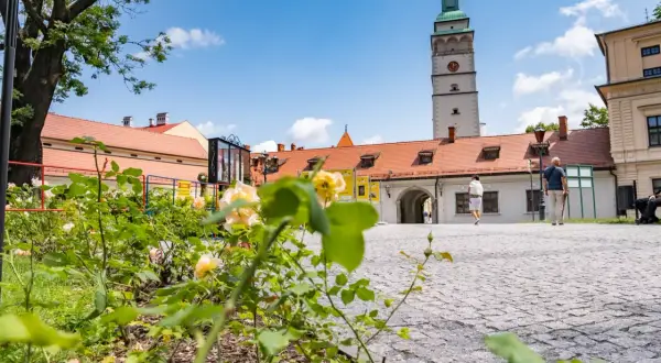 Kwiaty i wieża ratuszowa na rynku w Żywcu. Piękny dzień, idealny na zwiedzanie żywieckich atrakcji.