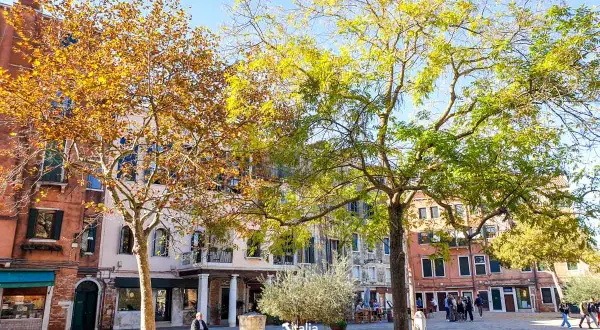 Spokojny plac w Wenecji w październiku. Drzewa w jesiennych barwach, budynki i spacerujący ludzie tworzą malowniczy widok.