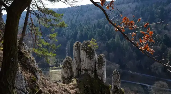 Skałki wapienne i las w tle, idealne na jednodniowe wycieczki z Krakowa.
