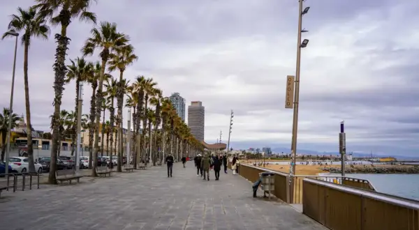 Spacerem po Barcelonie w styczniu. Czy warto? Palmy, plaża i spokojna promenada zachęcają do spacerów.