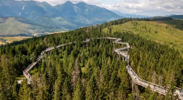 Ścieżka w koronach drzew w Bachledce – jedna z najpiękniejszych słowackich atrakcji blisko granicy, z widokiem na Tatry.