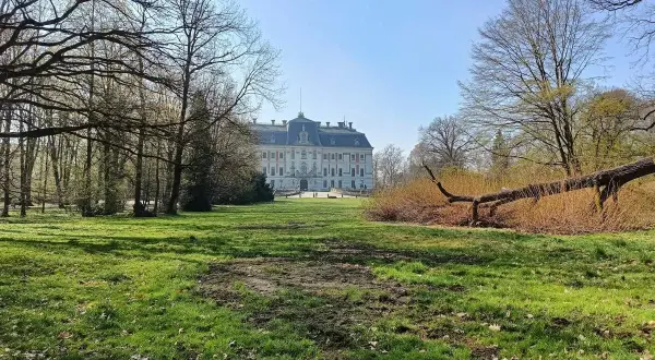 Pałac w Pszczynie, jedna z głównych atrakcji regionu, otoczony parkiem z powalonym drzewem.