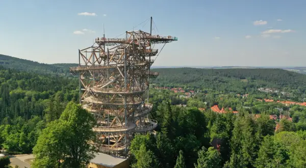 Drewniana wieża widokowa z krętymi ścieżkami, oferująca wspaniały sky walk nad lasem i miasteczkiem.