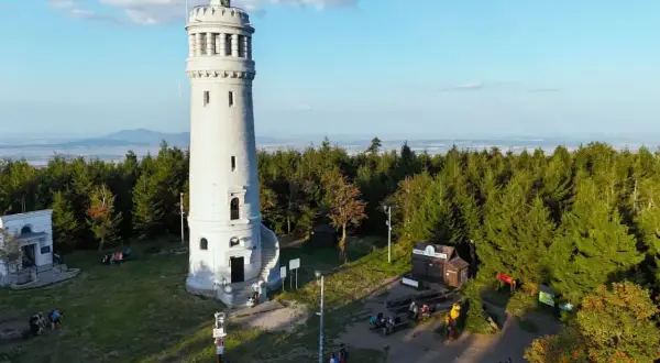 Wieża widokowa na szczycie gór Sowich, otoczona lasem, zaprasza turystów do podziwiania panoramy.