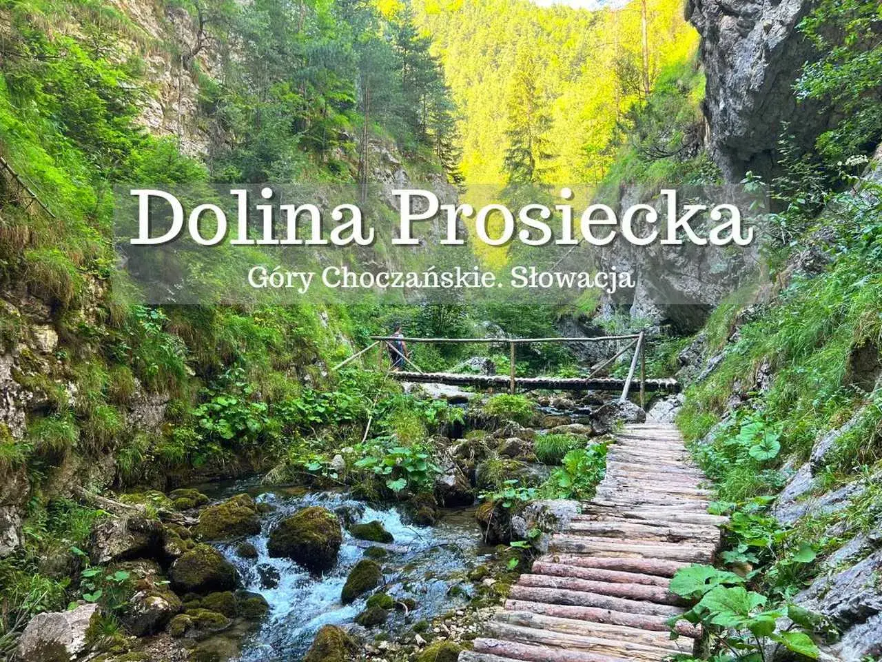 Malownicza Dolina Prosiecka w Górach Choczańskich to idealne miejsce, by odkryć, co zwiedzić na Słowacji. Drewniany chodnik wzdłuż potoku.