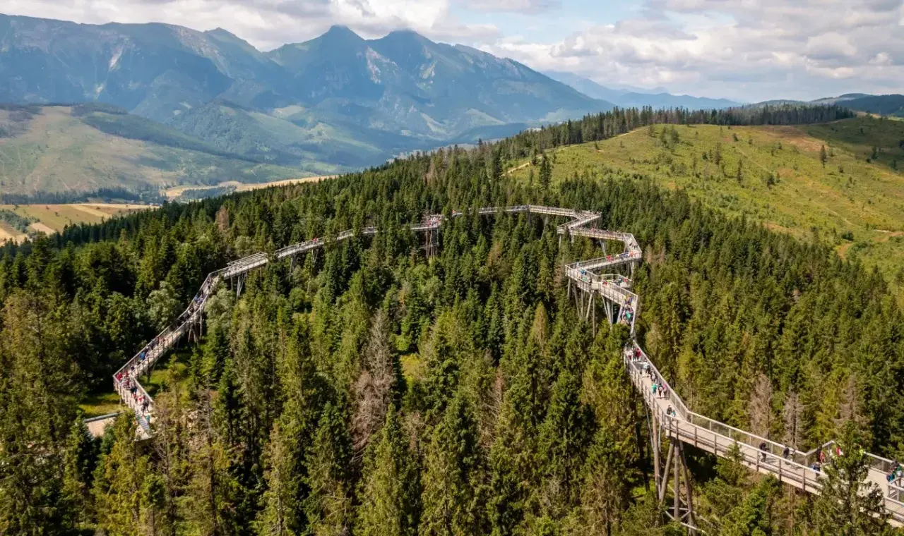 Ścieżka w koronach drzew w Bachledce – jedna z najpiękniejszych słowackich atrakcji blisko granicy, z widokiem na Tatry.