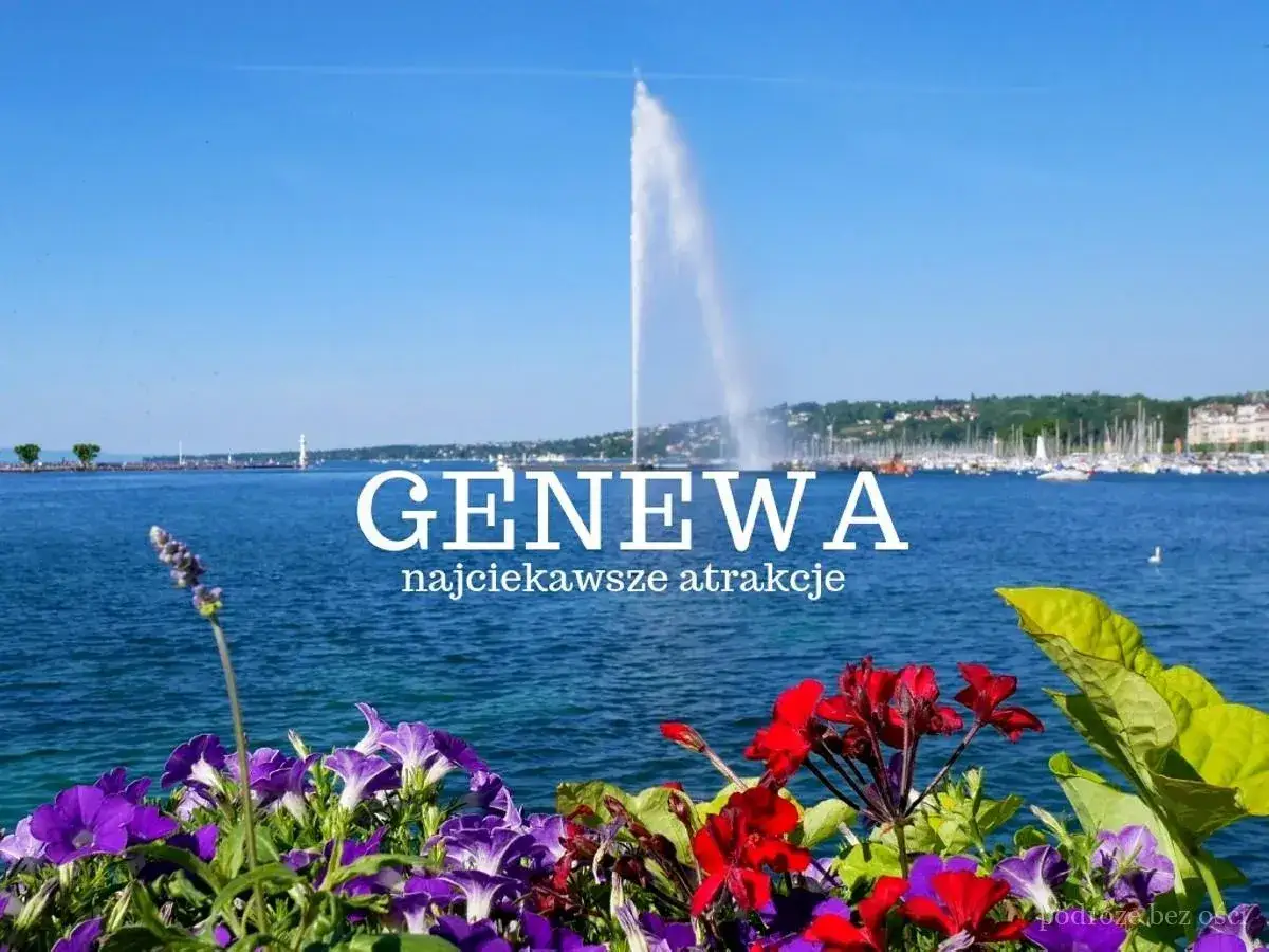 Kwiaty na pierwszym planie, w tle fontanna Jet d'Eau i jezioro. Genewa atrakcje, kt&oacute;re warto zobaczyć.