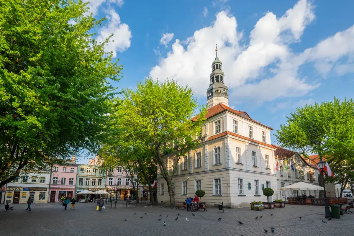 Rynek w Zielonej Górze, z ratuszem i kolorowymi kamieniczkami, to idealne miejsce, by poczuć atmosferę miasta. Co zobaczyć w Zielonej Górze? Spacer po rynku!