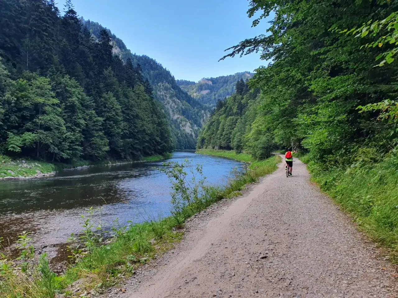 Rowerzystka na malowniczej velo dunajec trasie, otoczona zielonymi lasami i błękitną rzeką.