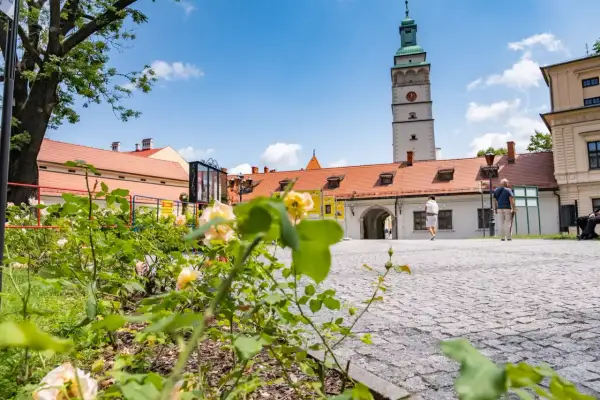 Kwiaty i wieża ratuszowa na rynku w Żywcu. Piękny dzień, idealny na zwiedzanie żywieckich atrakcji.