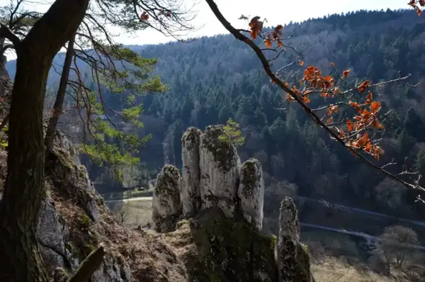 Skałki wapienne i las w tle, idealne na jednodniowe wycieczki z Krakowa.