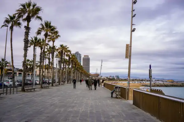 Spacerem po Barcelonie w styczniu. Czy warto? Palmy, plaża i spokojna promenada zachęcają do spacerów.