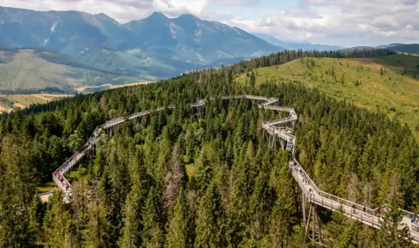 Ścieżka w koronach drzew w Bachledce – jedna z najpiękniejszych słowackich atrakcji blisko granicy, z widokiem na Tatry.