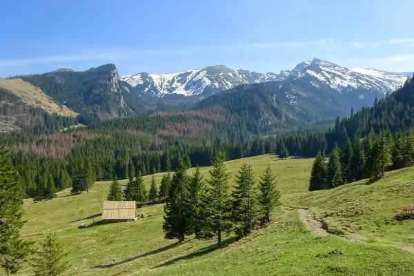 Piękne Tatry Zachodnie, idealne na wycieczkę z Zakopanego. Widać ośnieżone szczyty, lasy i polanę z bacówką.