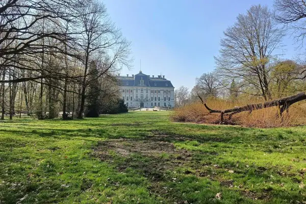 Pałac w Pszczynie, jedna z głównych atrakcji regionu, otoczony parkiem z powalonym drzewem.