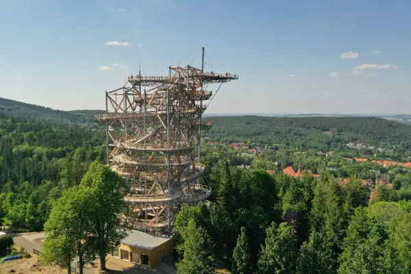 Drewniana wieża widokowa z krętymi ścieżkami, oferująca wspaniały sky walk nad lasem i miasteczkiem.