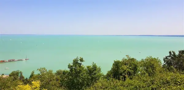 Widok na turkusowe wody Balatonu z licznymi żaglówkami. Na pierwszym planie bujna zieleń drzew, a w oddali widać zarys miejscowości nad Balatonem.